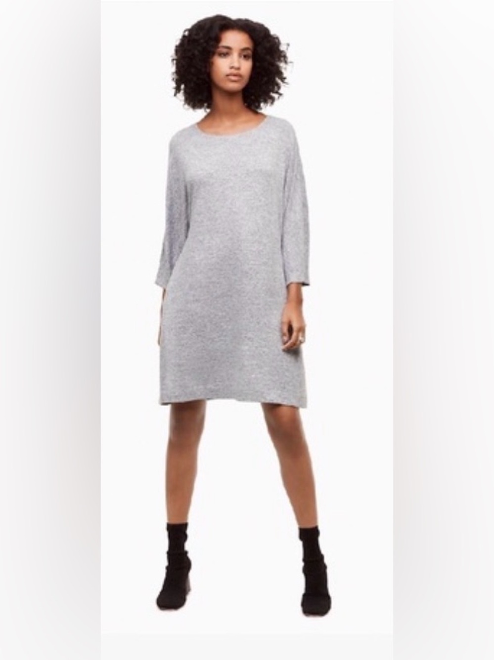 NWT Wilfred Free Cober Dress